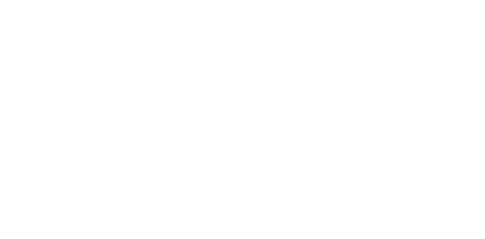 Howzit Japan Logo